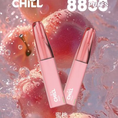 CHILL 始祖鳥